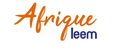 Lancement De LeemAfrique Org Leem